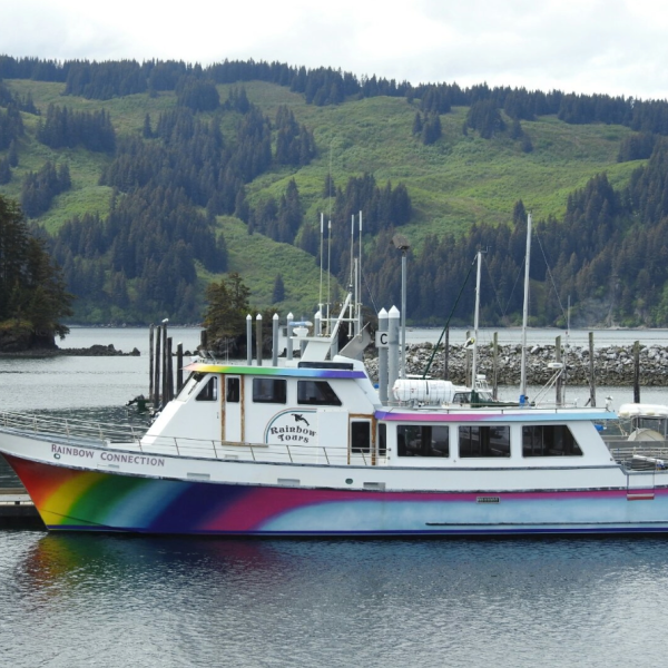 The Rainbow Connection wildlife tour vessel