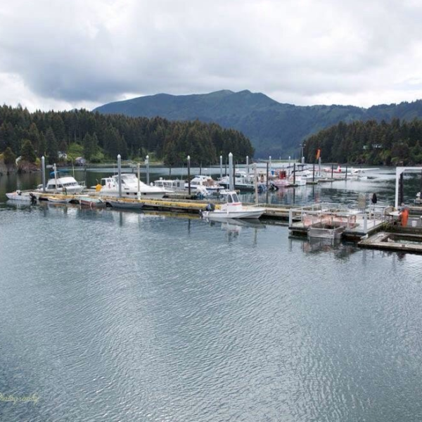 View of the Homer harbor