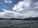Photo of Kachemak Bay from aboard a boat