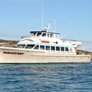 Close up of The Discovery