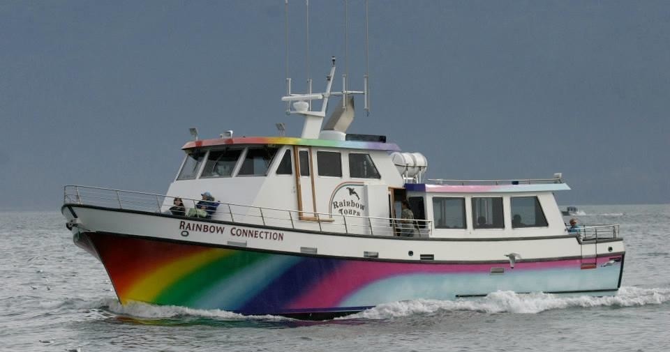 The Rainbow Connection a small boat in a large body of water